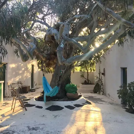 Apartamento Patio I La Asomada (Lanzarote)